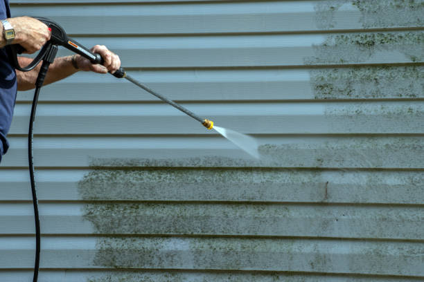 Best Sidewalk and Walkway Cleaning  in Wintersville, OH
